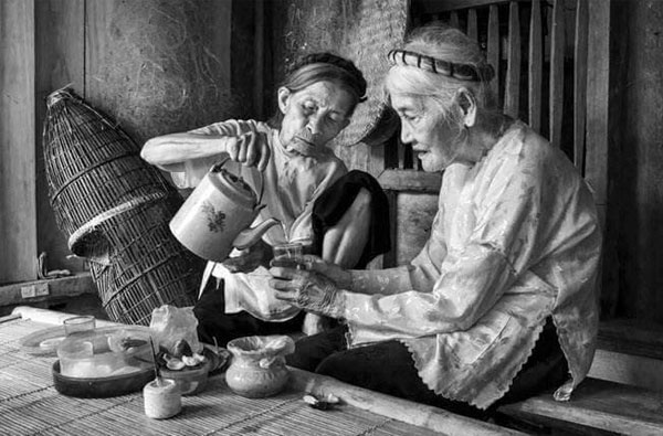 Cây trà trong đời sống của người Việt xưa và nay
